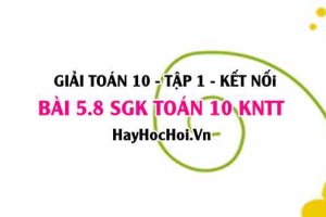 Bài 5.8 SGK Toán 10 tập 1 Kết nối tri thức